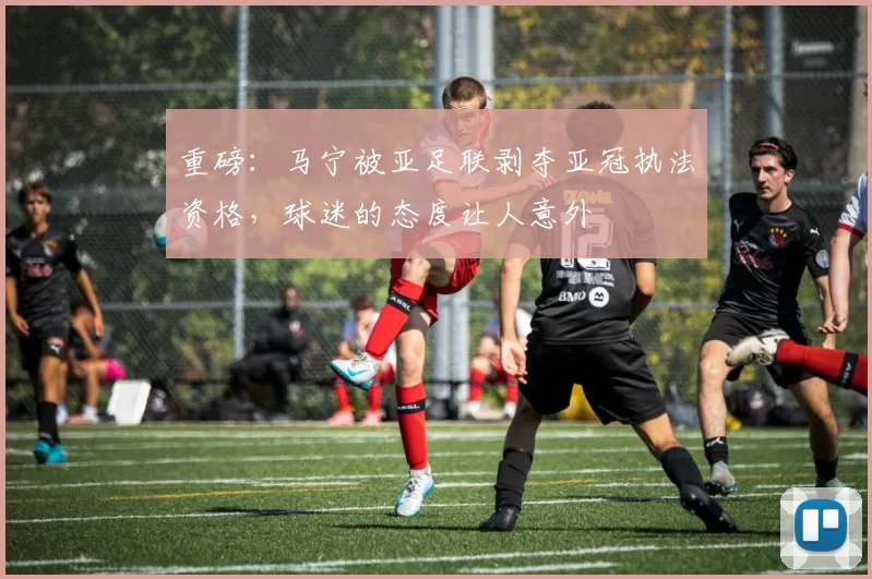 重磅：马宁被亚足联剥夺亚冠执法资格，球迷的态度让人意外